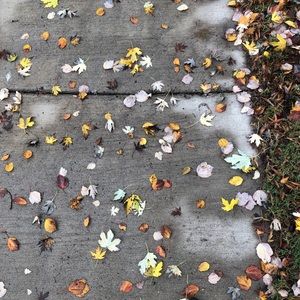 Meet your Posher, Leah